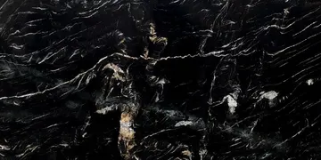 Fir Stone · Belvedere surface