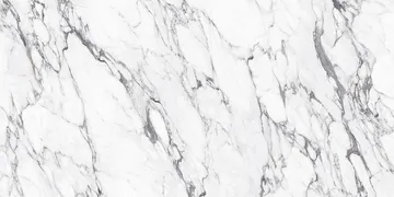 Fir Stone · Big Statuario surface