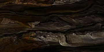 Fir Stone · Black Phantus surface