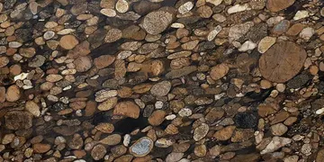 Fir Stone · Brown Marinace surface