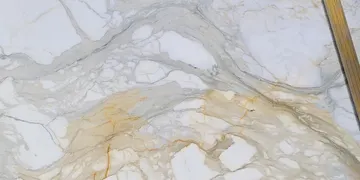 Fir Stone · Calacatta Gold surface