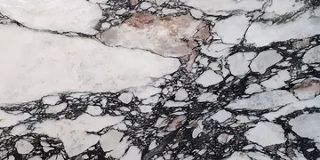 Fir Stone · Calacatta Viola surface