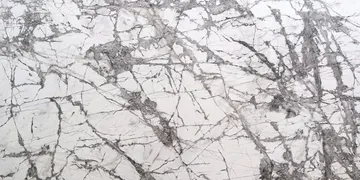 Fir Stone · Invisible surface