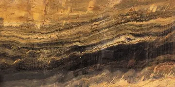 Fir Stone · Jacaranda surface