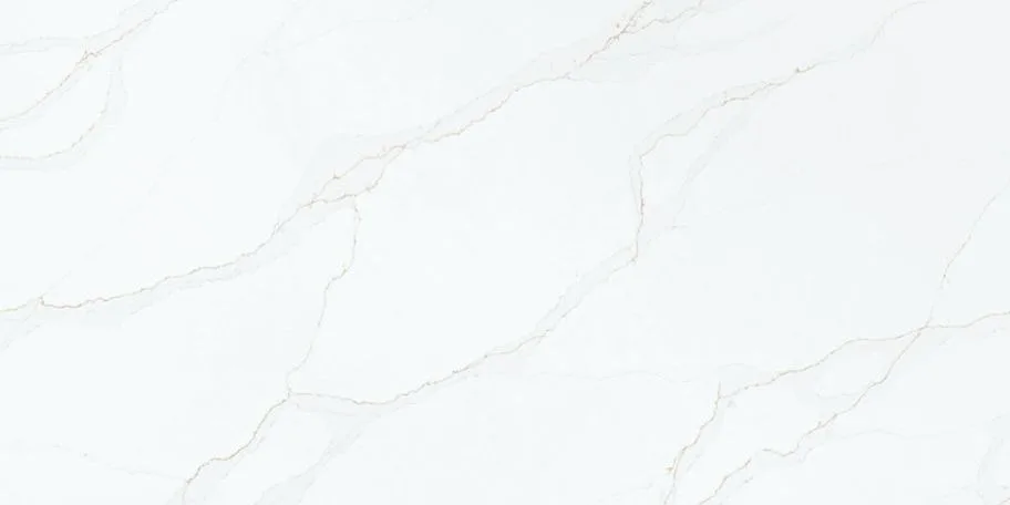 Q6101 (Q6101) — slab pattern