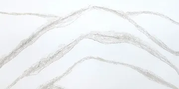 Fir Stone · Q6120 surface