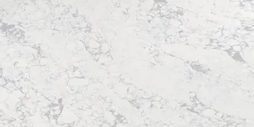 Fir Stone · Q6162 surface