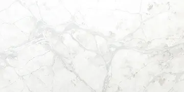 Fir Stone · Q6180 surface