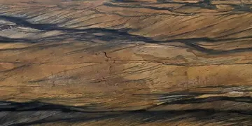 Fir Stone · Sandalus surface