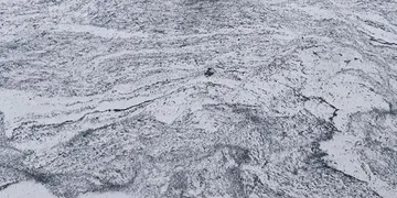 Fir Stone · Silver Cloud surface