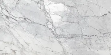 Fir Stone · Statuarietto surface