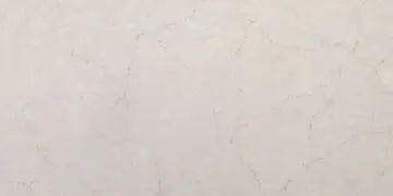 Fir Stone · Y9021 surface
