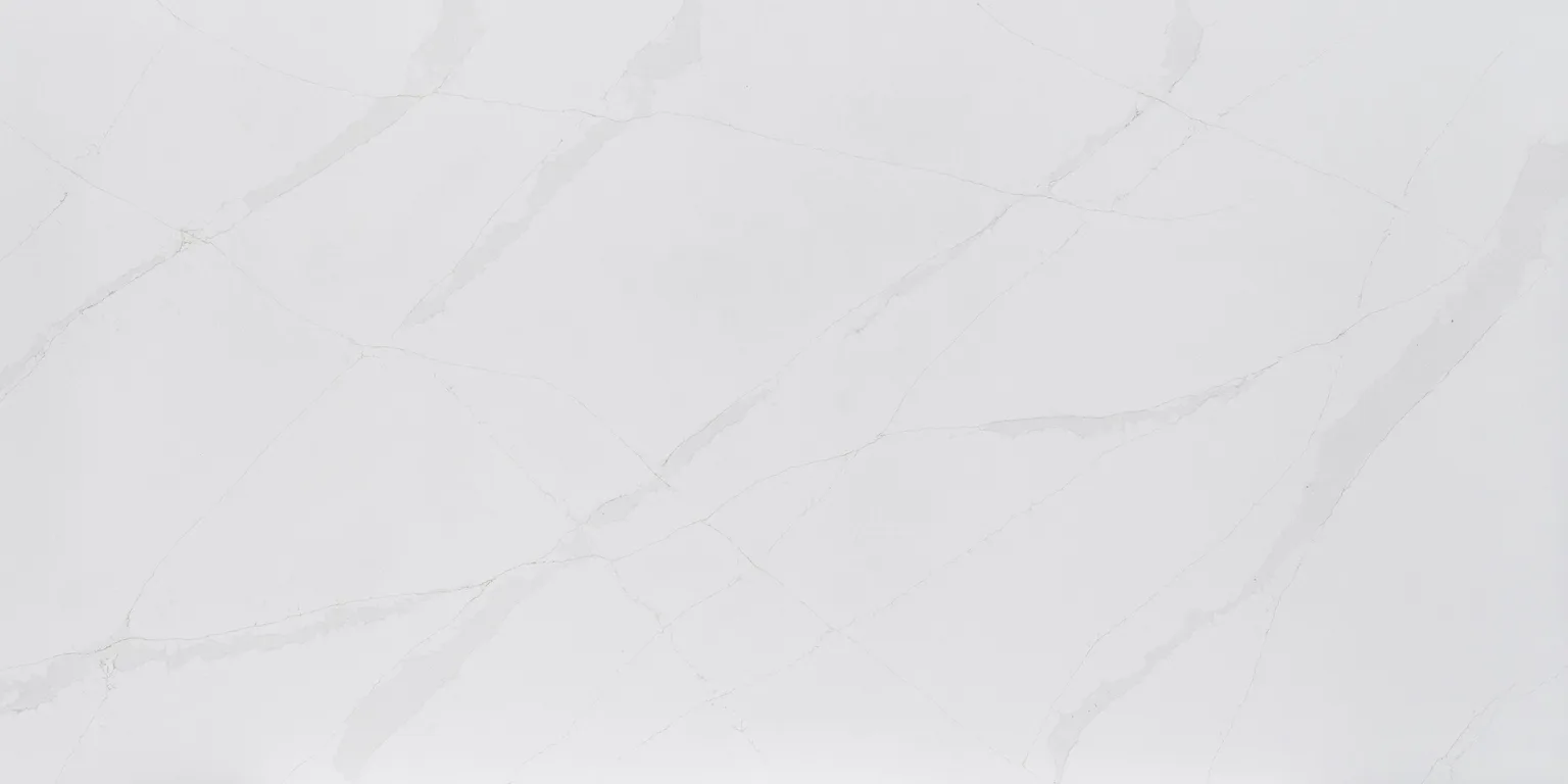 Aurelia (Aurelia) — slab pattern