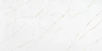 KASA Quartz · KR7009 · Lincoln Gold surface