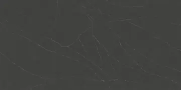 Omnia Quartz · OQ288 · Black Soapstone surface