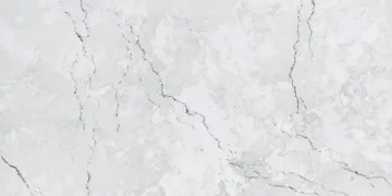 Omnia Quartz · OQ295 · Invisible Gray surface