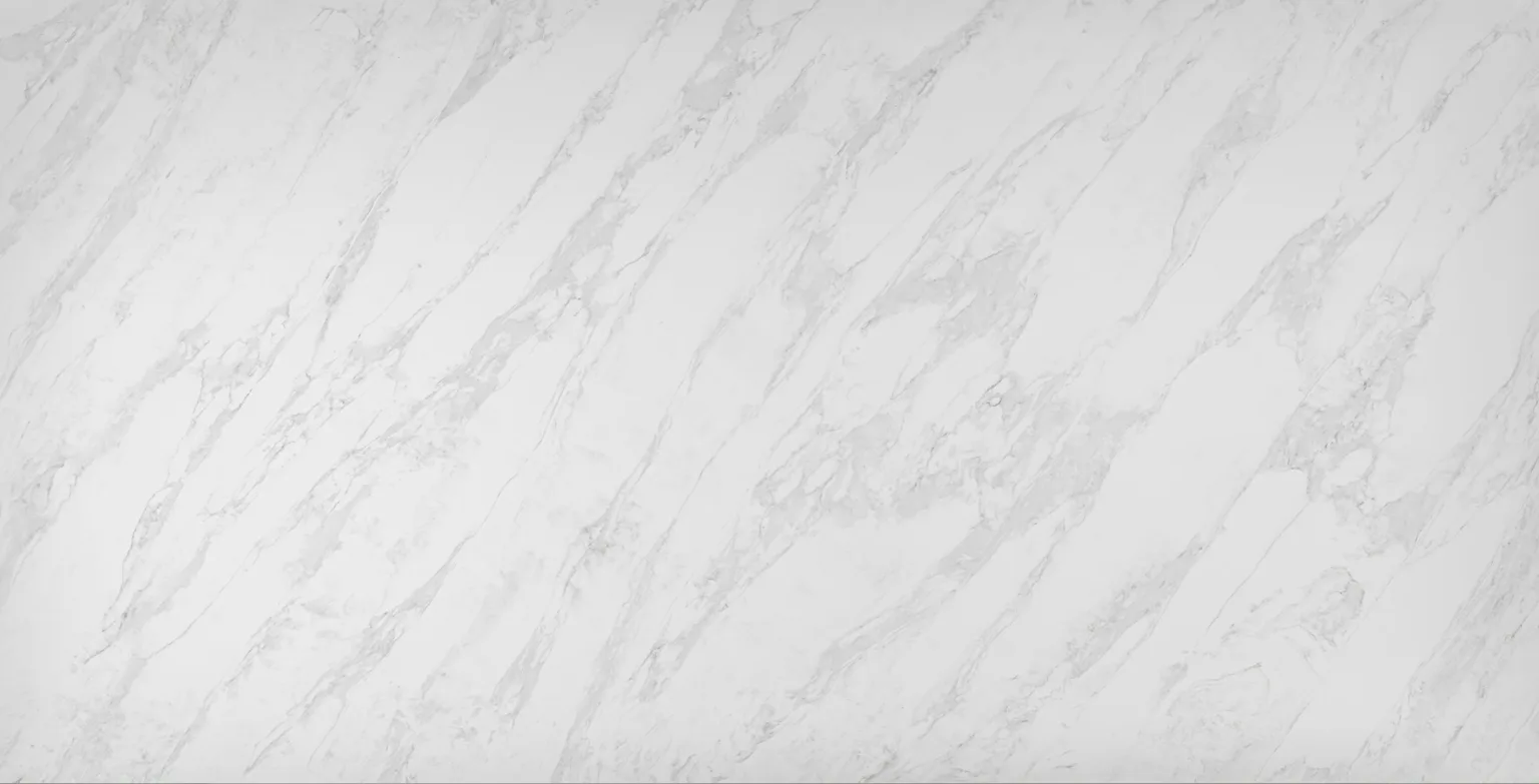 Calacatta Renoir (OQ399) — slab pattern