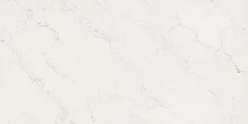 Omnia Quartz · OQ420 · Willow surface