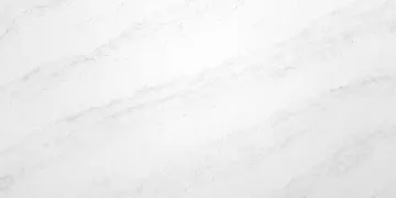 Omnia Quartz · OQ445 · Birch surface