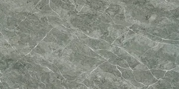 Vicostone · BQ6716 · Vitoria Regia surface