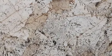 Fir Stone · Alpinus surface