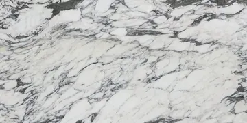 Fir Stone · Arabescato Corchia surface