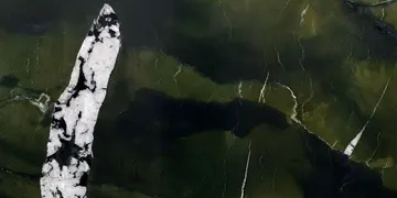 Fir Stone · Avocatus surface
