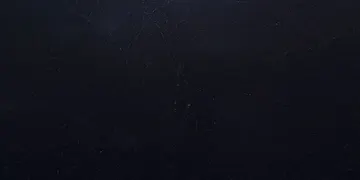 Fir Stone · Black Mist surface