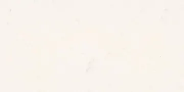 Fir Stone · C5101 surface
