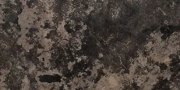 Fir Stone · Caesar Brown Cross Cut surface