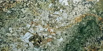 Fir Stone · Carnaval surface