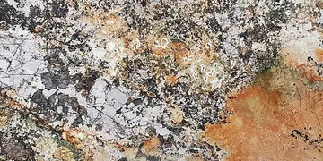 Fir Stone · CD surface