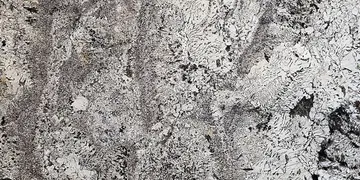 Fir Stone · Copenhagen surface