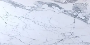 Fir Stone · Corchia surface