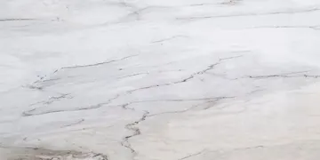 Fir Stone · Cremo Delicato surface