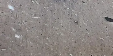 Fir Stone · Cygnus surface