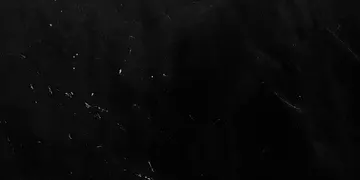Fir Stone · Negresco surface