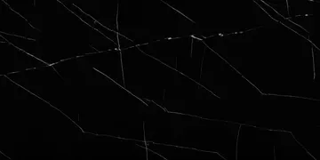 Fir Stone · Nero Marquina surface