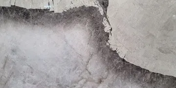 Fir Stone · Patagonia surface