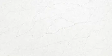 Fir Stone · Q6103 surface