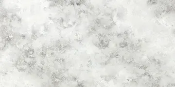 Fir Stone · Q6156 surface