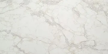 Fir Stone · Q6172 surface