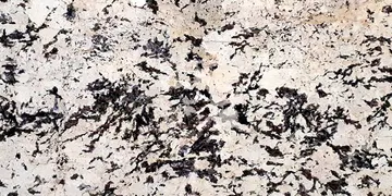 Fir Stone · Splendour Gold Extra surface