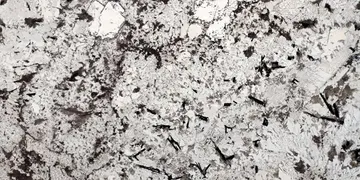 Fir Stone · Splendour White surface