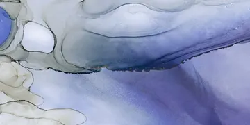 Fir Stone · St.Barth surface