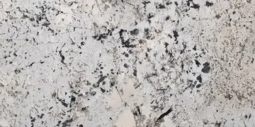 Fir Stone · Swiss Alps surface