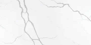 Fir Stone · V8002 surface