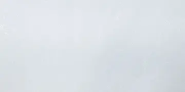 Fir Stone · V8018 surface