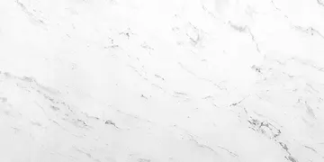 Fir Stone · White Cloud surface