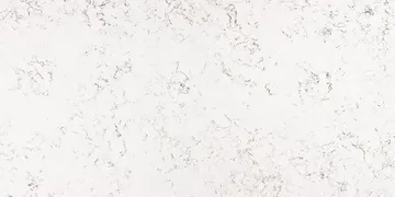 Fir Stone · Y9006 surface